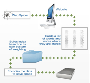 how website crawling done by spiders