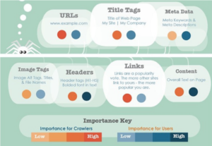 spiders crawl importent parts in website like url, page headings image tags